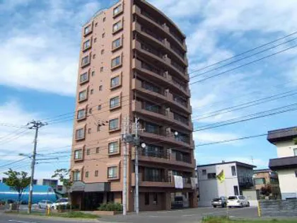 エクシード35の画像