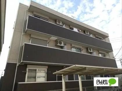 ヒールコートの画像