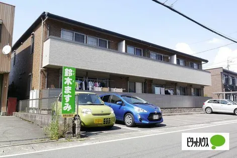 ドミール智Dの画像