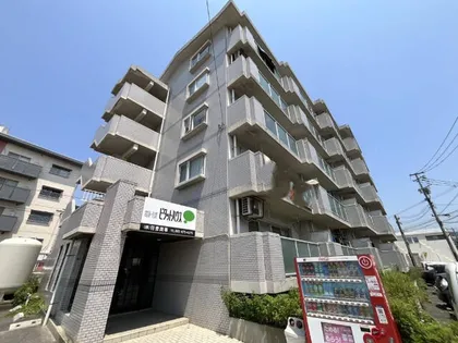 シャトレ沼本町の画像