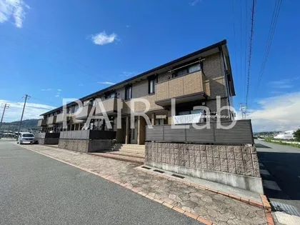 ブロッサムの画像