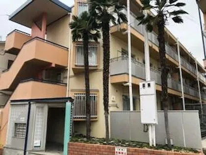 ドメスティック南光荘の画像