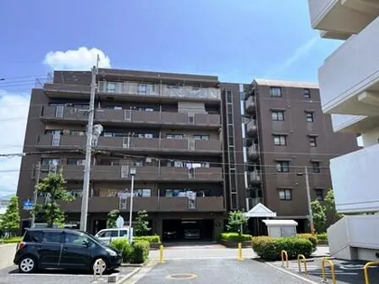 リバーガーデン藤【3階】の外観