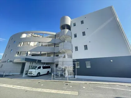 アメージンググレイスの画像