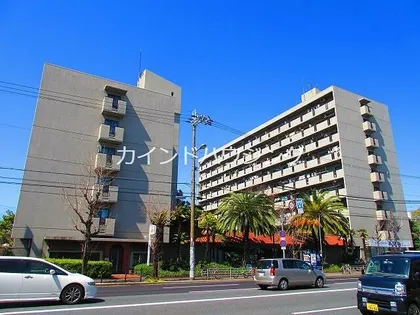 パティオ北加賀屋 南棟【5階】の外観