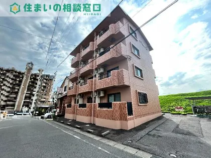 愛知県岡崎市天白町字川成【マンション】の外観