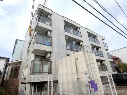 ホワイティ18の画像