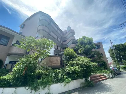 大阪府大阪市東淀川区大桐5丁目【マンション】の外観