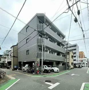キャメロット グレイスの画像