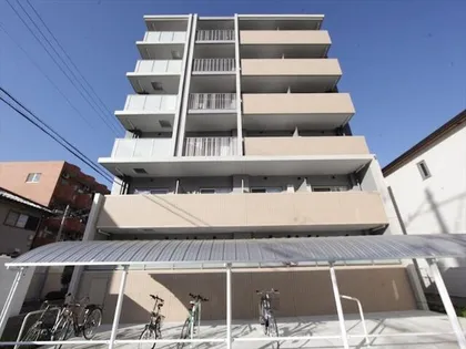 THE SEVENS'の画像