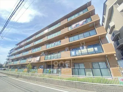 若園ハイツの画像