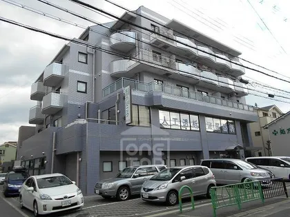 SHINYOの画像