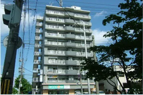 ルシール88の画像