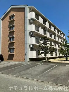 ハイライフ花中の画像
