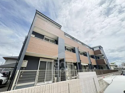 SUNBLOOM NEOの画像