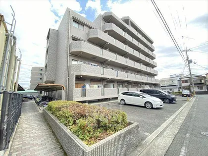 ボア ソルテの画像