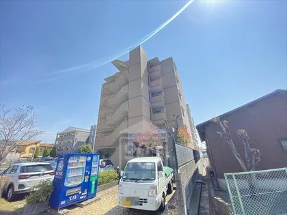 ショーシコン壱番館の画像