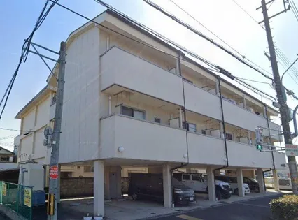 シャルト藤原の画像