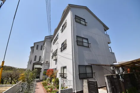 私市ロイヤルマンションの画像