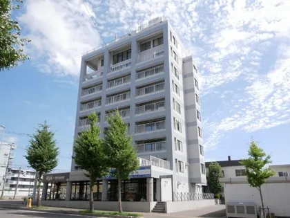 ラベンダー白石の画像