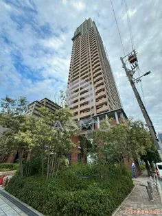 エルザグレース堀江タワー【23階】の外観