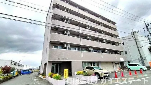 アレックスやしろの画像