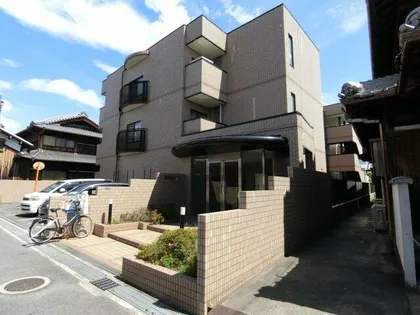 ネストクレールの画像