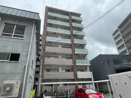 江坂 和の画像