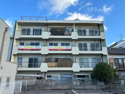 カリテプリの画像