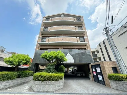 プラソーレの画像