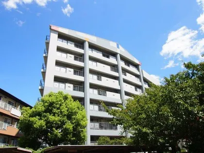 ヴァンティアンの画像