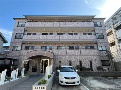 ルミエール チヨの画像