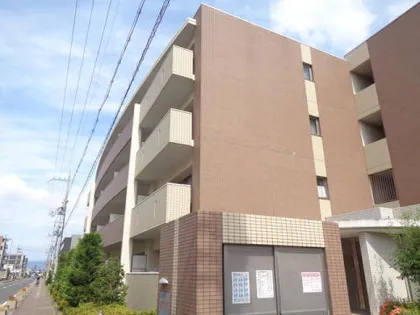 ヴィヴァーチェの画像