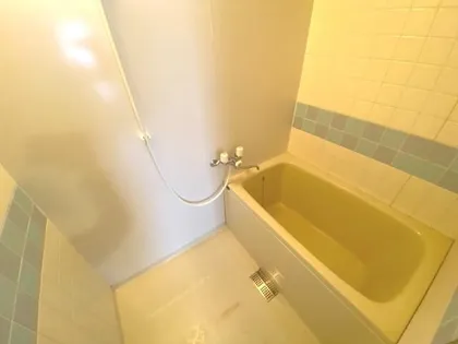 ハイムポーロニア【1階】の風呂