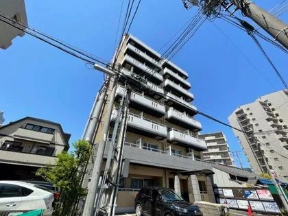 グレイス日比野の画像