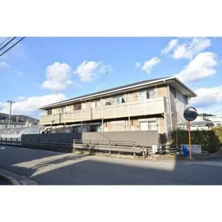 アムール賀茂川の画像