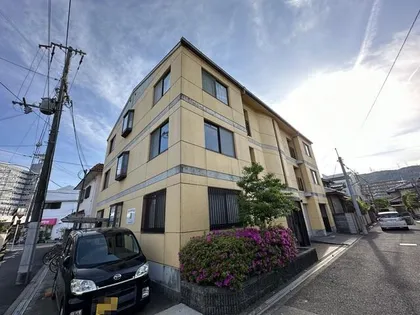 ルークミナセの画像