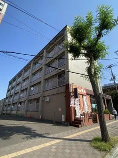 平岸ロイヤルハイツ【4階】の外観