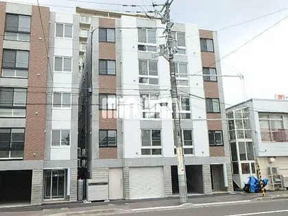 FLORESTA43の画像