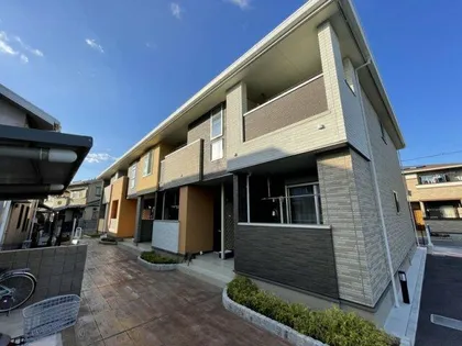 ルピナスの画像