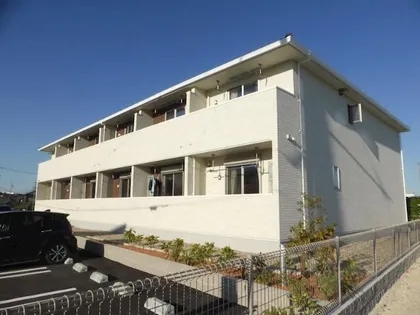 プリムラの画像