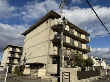 ECLARGEの画像