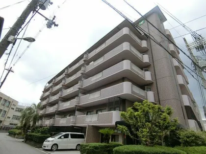 セディアコアロードの画像