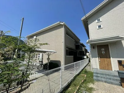 スターダスト光の画像