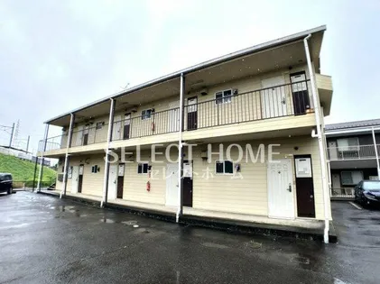 フェイスきたのの画像