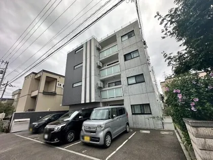 カサトレスVIIIの画像