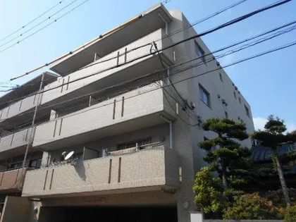 ALLGO GRATOの画像