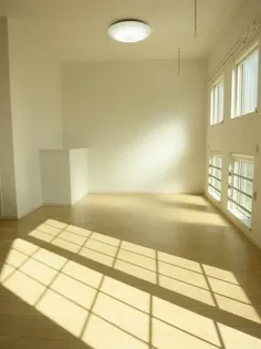 プラトリーナの画像