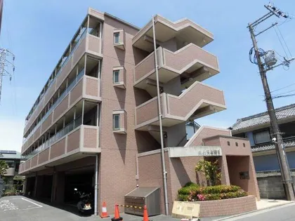 エムス金剛Ⅱの画像