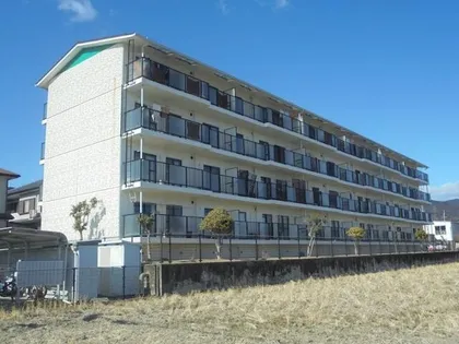 サンパティック8の画像